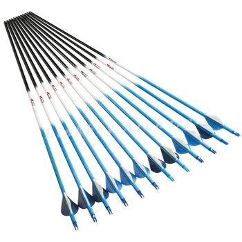 

Linkboy Archery 6/12PCS ID6.2 Carbon Arrows Shaft Fluorescent Blue with 2" Vane Nock Tip Complete for Archery Arrows Bow Hunting