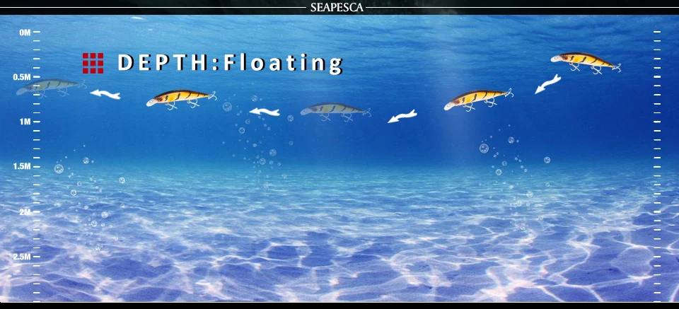 SEA_06