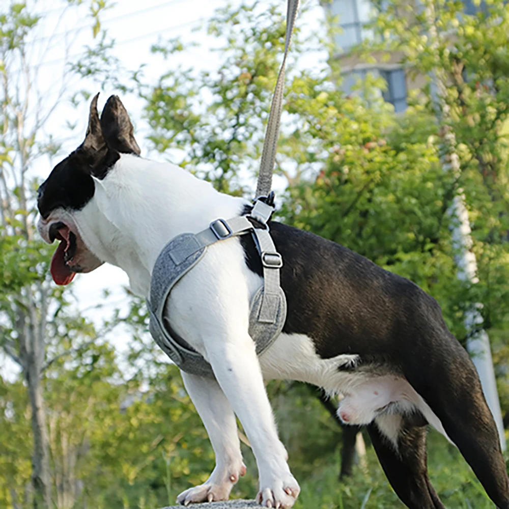 

Dog Harness Easy On and Off Adjustable Medium Large Dogs,Reflective no Pull Training Vest for pet Dogs walking harness