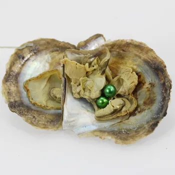 

Luxury Christmas gift 6-7mm saltwater Pearl Akoya Pearls Oyster Wish 20pcs/Lot Love wish pearl oyster(beads) party show AR011