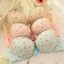 Omen комплект с бюстгальтером Push Up сексуальный комплект с бюстгальтером комплект нижнего белья для женщин вышивка бюстгальтер и трусики комплект женское нижнее белье