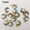 WT-P1131 Wholesale Natural Abalone Shell Horns Pendant Unique Small Crescent Shape For Women Jewelry 20MM For Jewelry Making 1