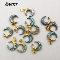 WT-P1131 Wholesale Natural Abalone Shell Horns Pendant Unique Small Crescent Shape For Women Jewelry 20MM For Jewelry Making 1