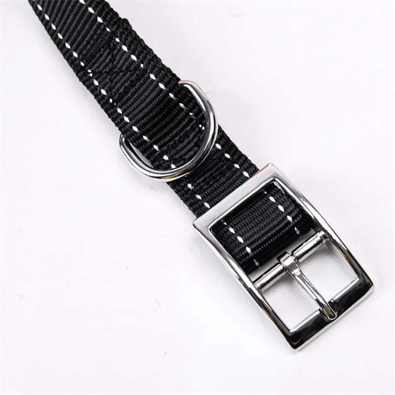 Dog Collar and Leash Set (1)