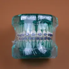 1pc Blue color Orthodontic teeth models half ceramic and half metal bracket dental education teeth Jaw