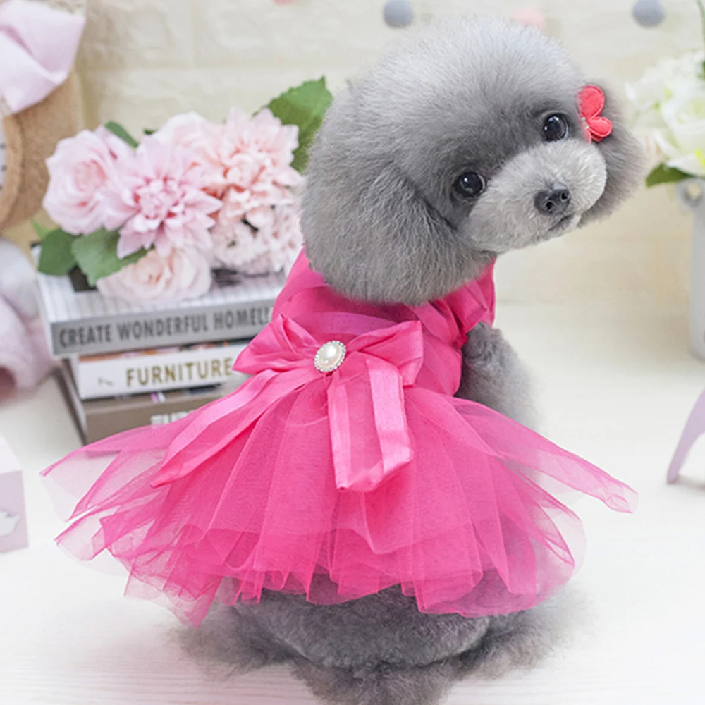 dog dress