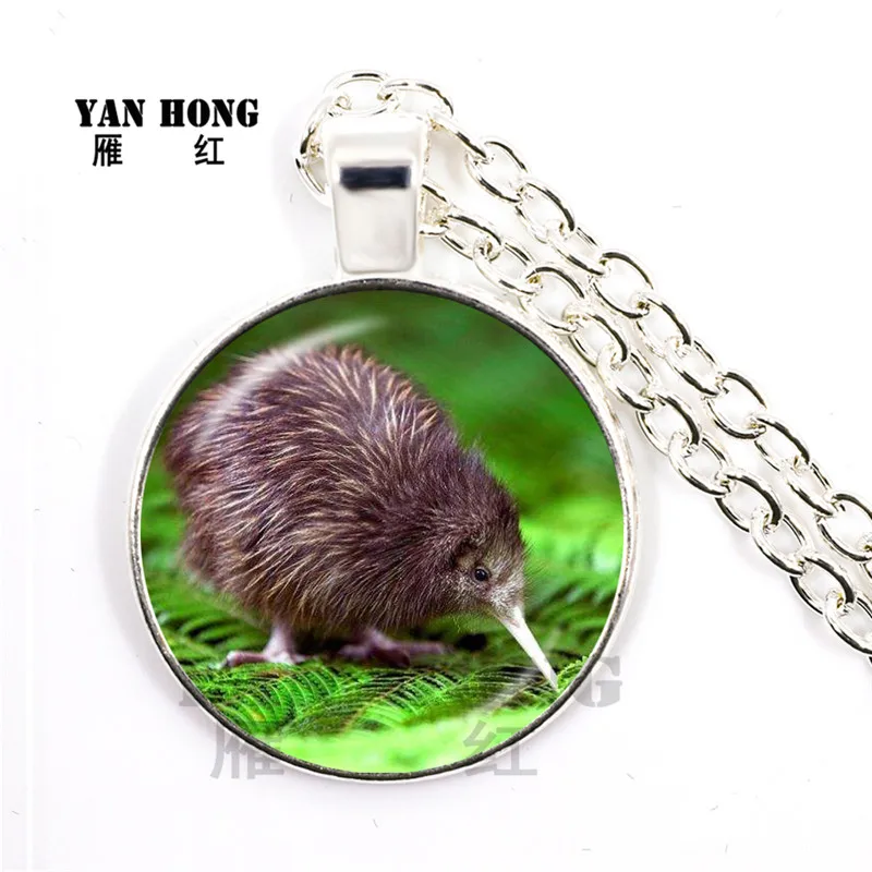 

YANHONG New Zealand Kiwi, it's a bird, but it has no wings, can't fly, lovely bizarre bird, this is the national treasure.