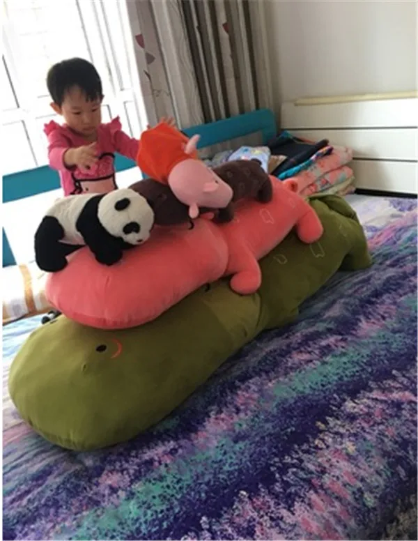 hippo01