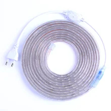Bande lumineuse LED SMD 5050 AC220V, 60 diodes/m, étanche, avec prise d'alimentation, 1M/2M/3M/5M/6M/8M/9M 10M/15M/20M