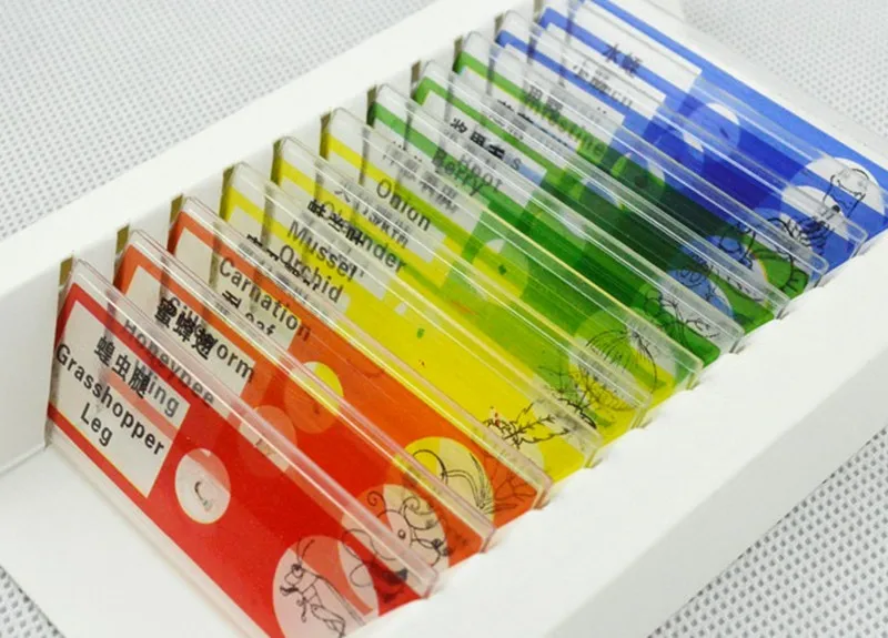 12pcs Various Students Children Educational Plastic Prepared Microscope