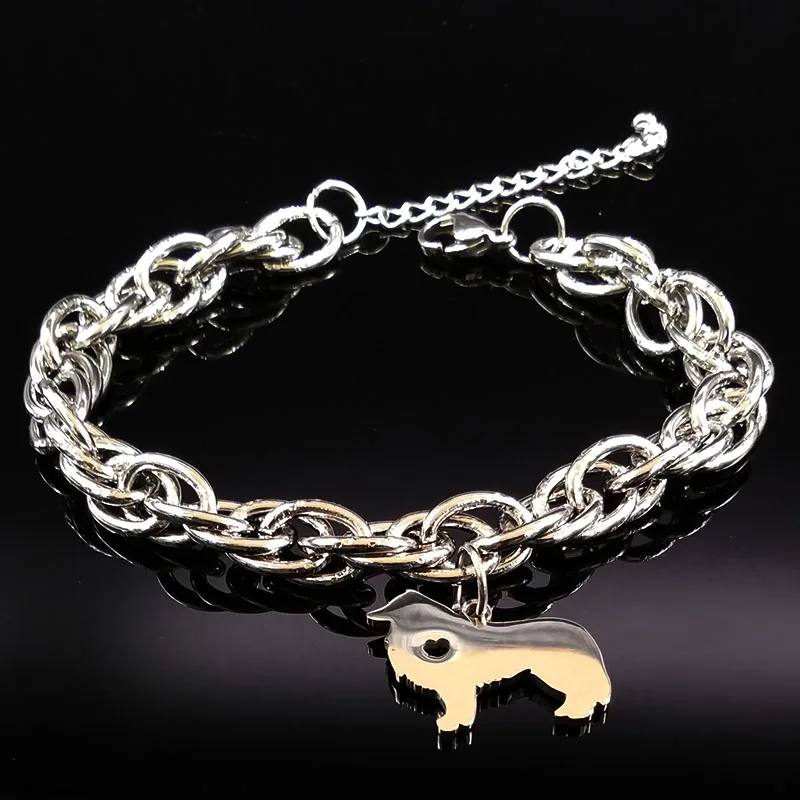 Граница собака колли браслеты из нержавеющей стали для женщин Покемон серебряные цветные браслеты ювелирные изделия Рождественский подарок bileklik B17890