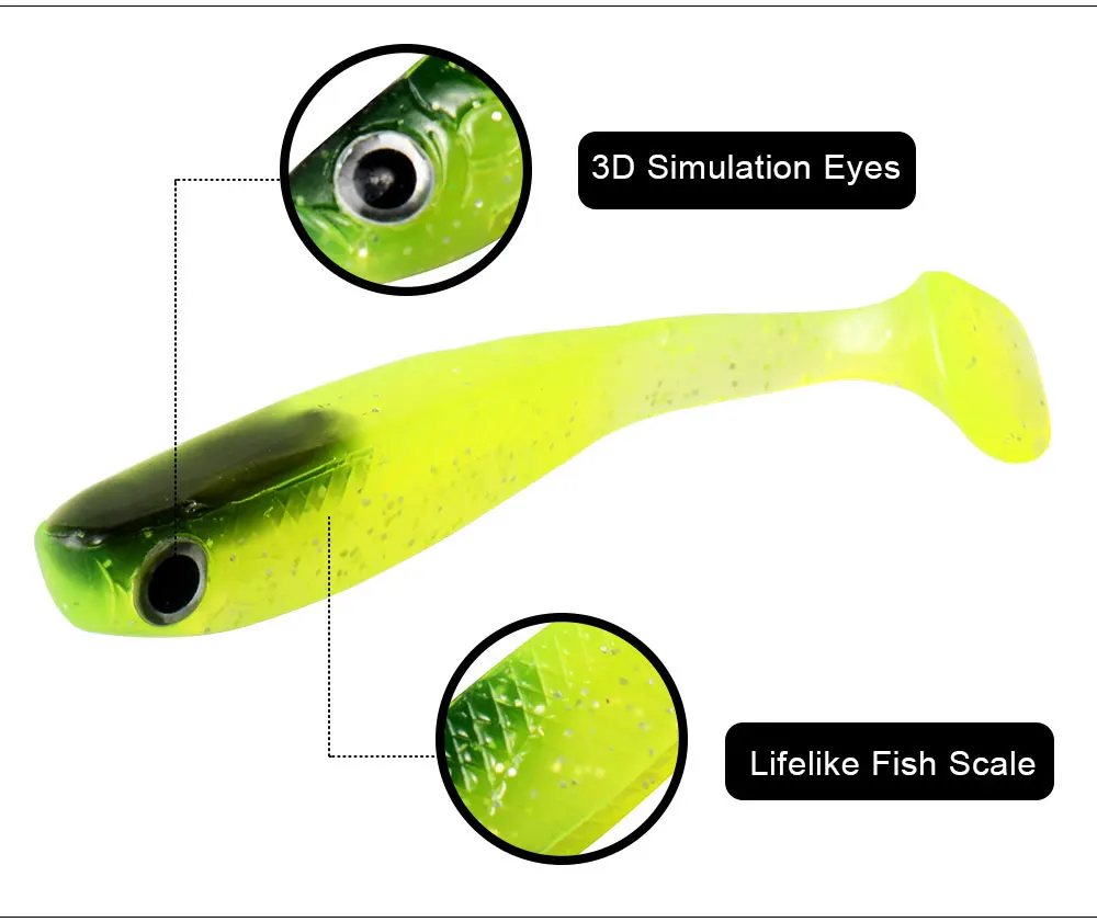 MB--Eye-Fish_09