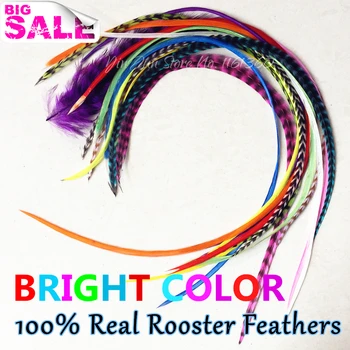 

Hair Styling 15pcs 6"-12" Bright Mix Dyed Color Feather Hair Extensions Grizzly Accessories for Hair Feather Bulk Pack Hair Clip
