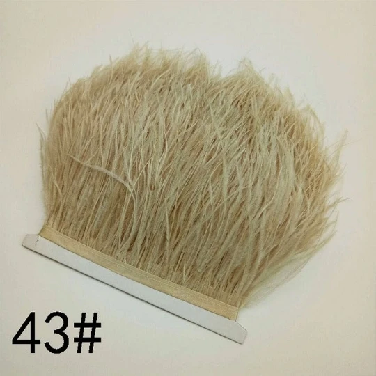 41