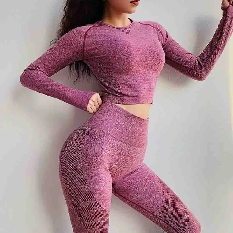 

SOISOU Seamless Long Sleeve Yoga Top Sports Women Sports Fitness Sport Female T-shirt Fitness Shirt Gym Top Clothes For Women