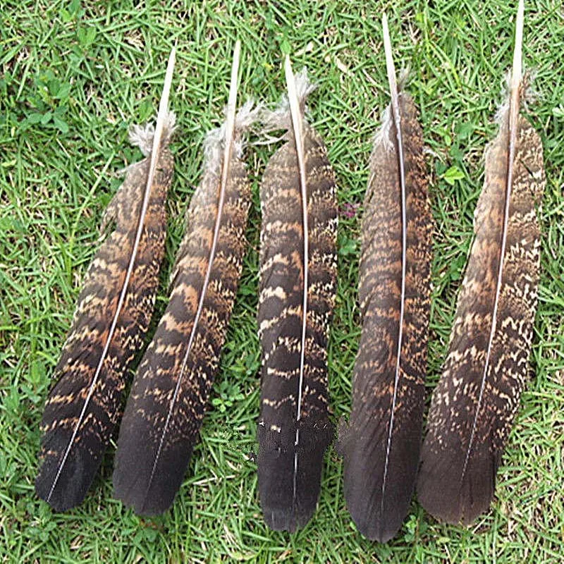 Commercio All'Ingrosso 10 Pz Preziosa Usa Wild Turkey Piume Di Coda 6-8 Pollici/15-20 Cm