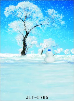 

300cm*300cm Vinyl Custom Photography Backdrops Prop Digital Photo Studio Background  S-5765