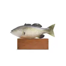 Имитация морской реки цветок рыбы Ложные османтус морепродукты водные модели детские игрушки реквизит для фотосессии украшения Морская жизнь пена