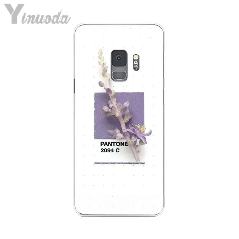 Pantone Candy Color Flower