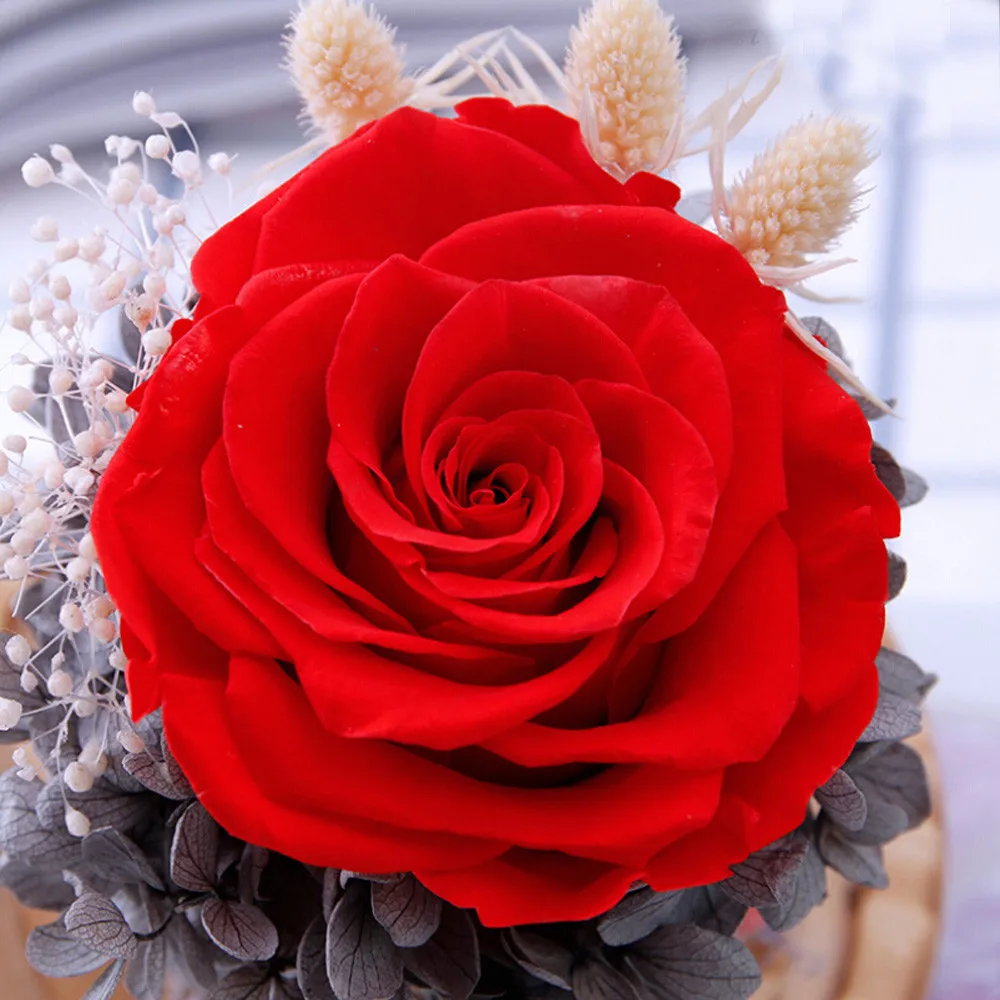 Хорошо сохраненные розы цветок в стекле романтический подарок День святого Валентина подарки на день рождения#0211
