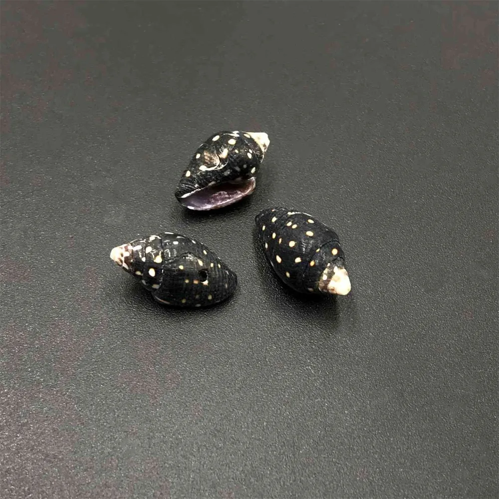 

10pcs 21*15 mm Wholesale Black Point Conch Sea Shell Charm Small Cowrie Crafts Handmade Jewelry Accessories Home Decorations