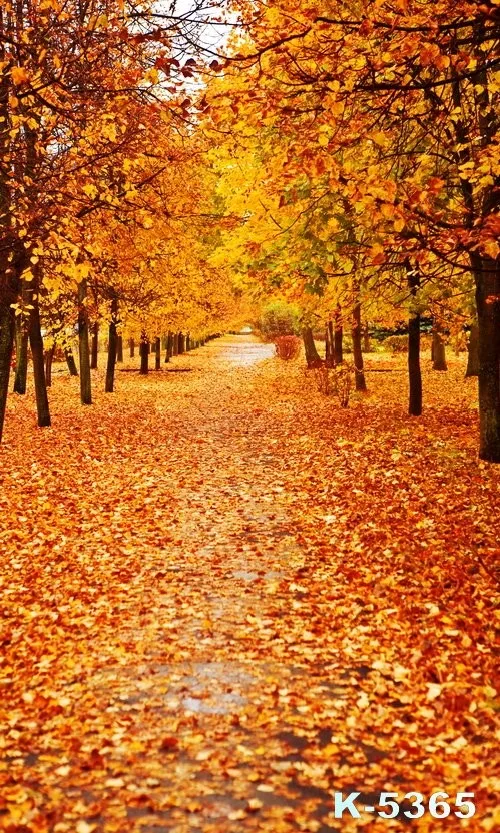 Fonds De Photographie Automne Paysage Arriere Plans De Tir Tissu Vinyle Imprime Photos Studios Pour Mariage Enfants Fotografica Aliexpress