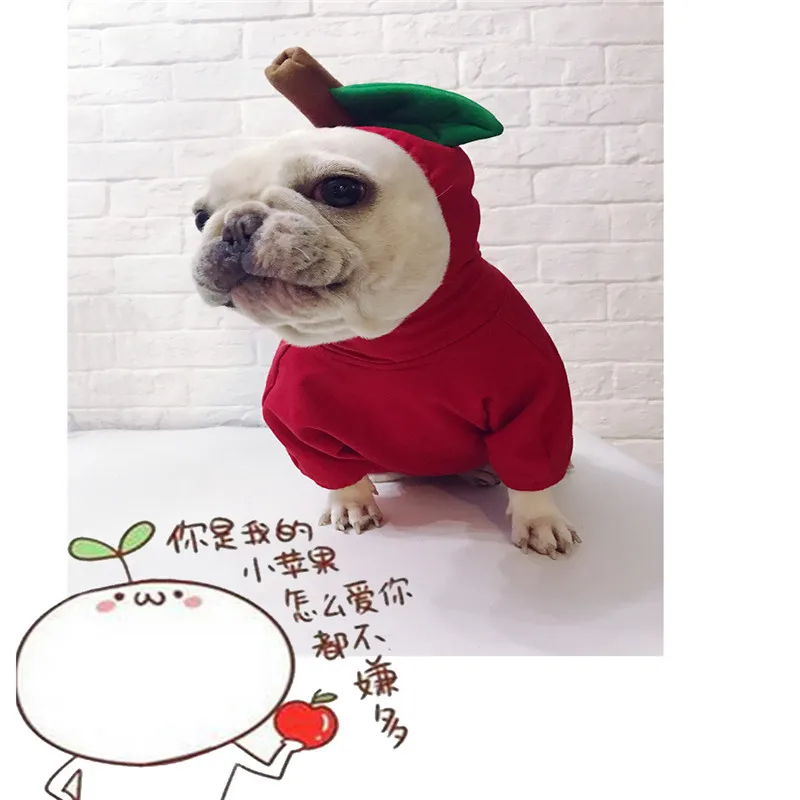 AHUAPET/зимняя одежда для собак; теплая одежда; хлопковая куртка с французским бульдогом; Рождественский костюм для домашних животных; яблоко; Косплей; одежда для щенков; товары E