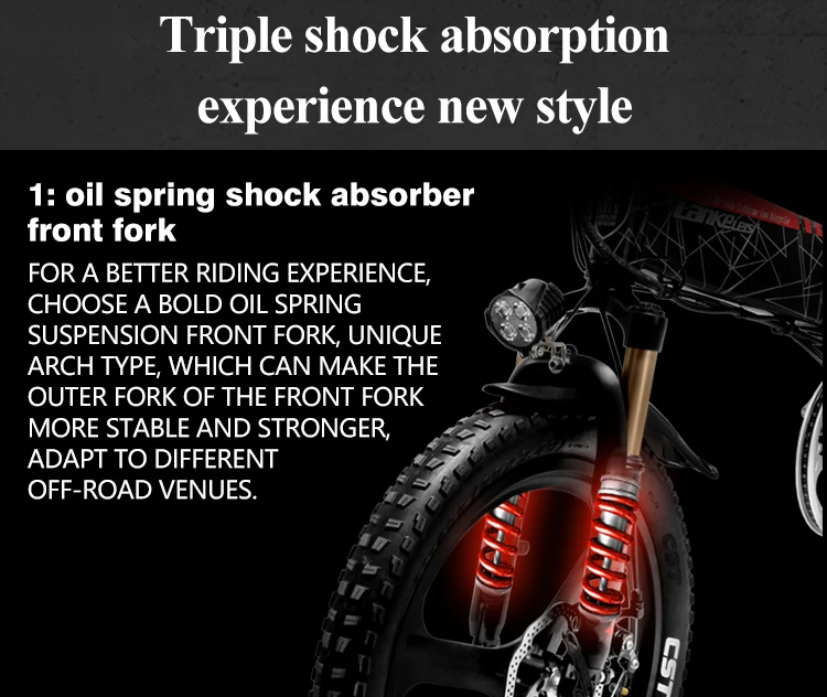 Discount Lankeleisi G650 Electric Folding Bicycle full suspension 7 Speeds 500W Motor 48V 12.8AH Battery light weight frame 9 Discount Lankeleisi G650 Electric Folding Bicycle full suspension 7 Speeds 500W Motor 48V 12.8AH Battery light weight frame 9