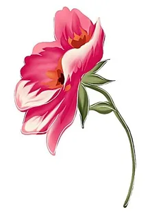 08594579.jpg_.webp.238