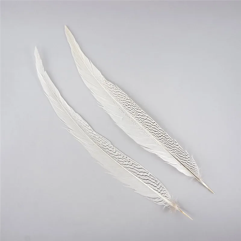 10-80 см 4-32 дюйма натуральные серебряные перья из хвоста фазана белые перья фазана для рукоделия Свадебный костюм Куриные перья, пух
