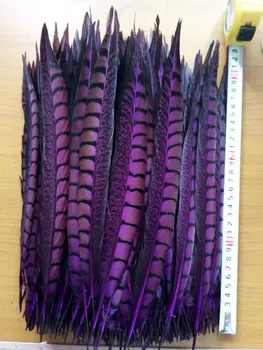 

Free shipping sell high quality purple 50pcs Lady Amherst Pheasant feathers, 12-14 "/ 30-35cm diy jewelry decorative props