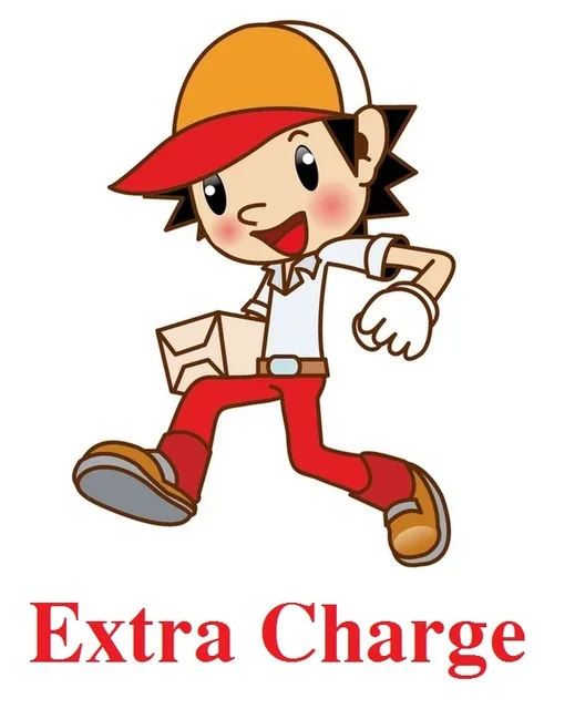 

Extra Charge fee, the unit fee is US$1 per piece, if you need to pay US$10, then buy 10pcs to adjust the total amount into US$10