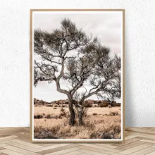Австралийское Настенная картина с ландшафтом живописи Desert Модульная картина с изображением дерева принт богемное украшение большой плакаты на стену, изображения для Гостиная