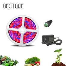 5 M LED Phyto Lambaları tam spektrumlu LED Şerit Işık DC 12 V adaptörü ile 300 LEDs 5050 Çip LED Topraksız bitki yetiştirme lambaları bitki için