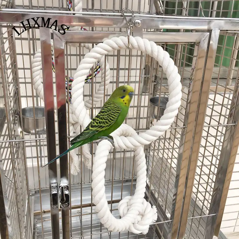 bird cage toys