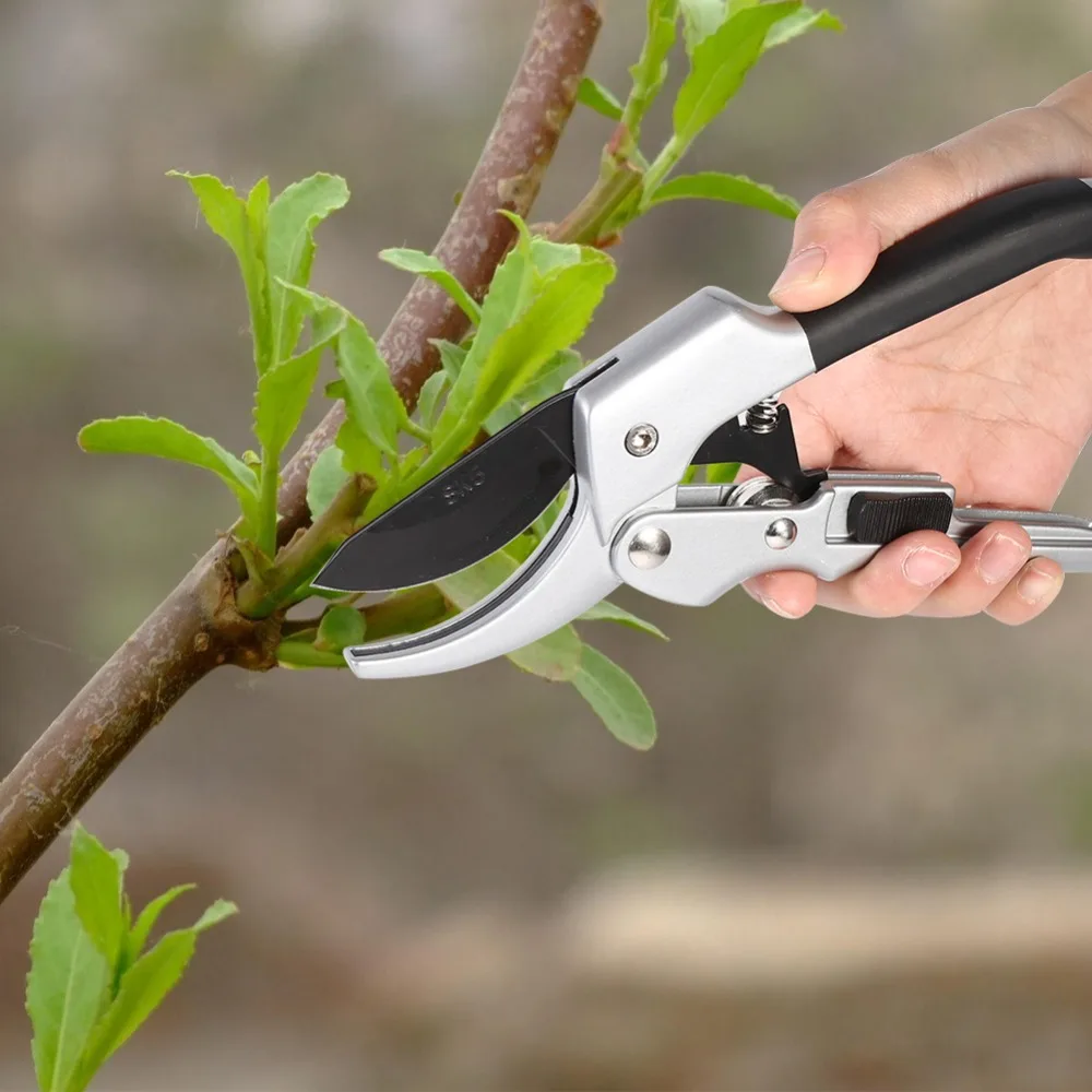 

Garden Fruit Tree Pruning Shears Scissor Grafting cutting Tool Tree Cutting Tool