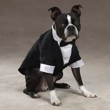 Мальчика собачий костюм свадебный костюм кобель одежда смокинг свадебное платье джентльменская куртка для питомца наряд для Мопсов, французских бульдогов одежда