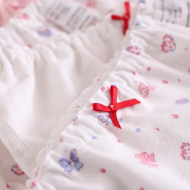 Child Girl Cotton Underwears Briefs 4pcs 15-6