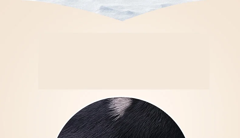 A5