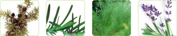 ROSAFARM уход за кожей лица пластырь для похудания растительное эфирное масло ингредиенты сна тонкий гель патч 12 наклейки/6 ПАК