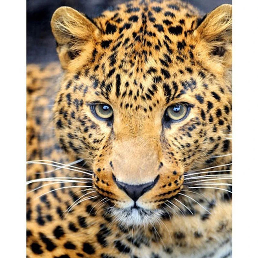 Buy 3D Diamond Mosaic DIY Diamond Painting Cross