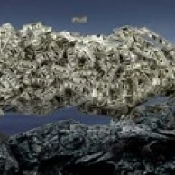 Money tree Poster Print (18 x 7)