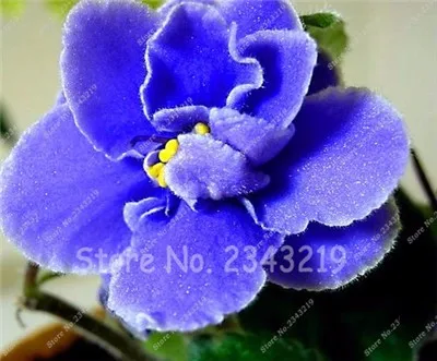 2C2306F74C4BC5E3706FE006C8A8218F
