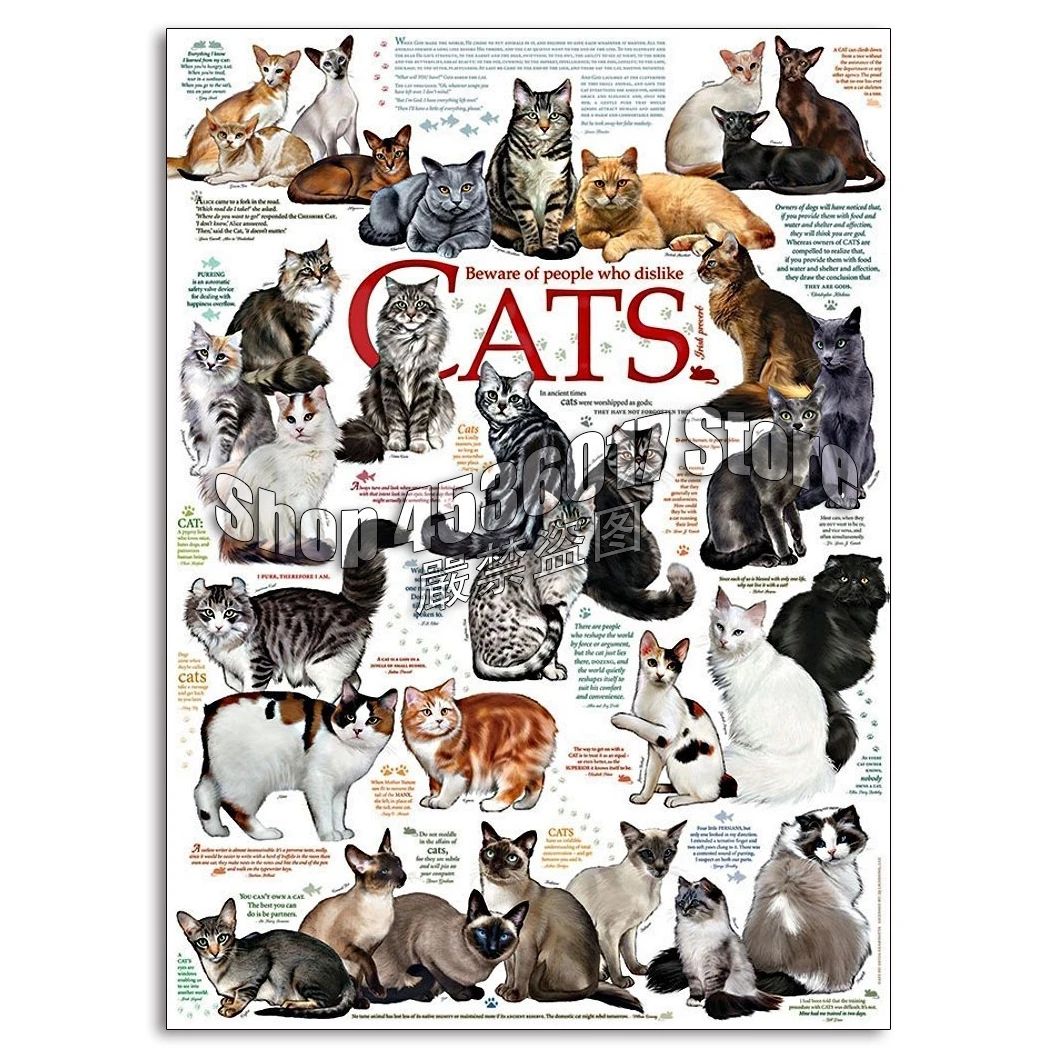 

Full Square Diamond 5D DIY Diamond Painting Cat Quotes Embroidery Cross Stitch Rhinestone Mosaic animal Painting Home Decor Gift