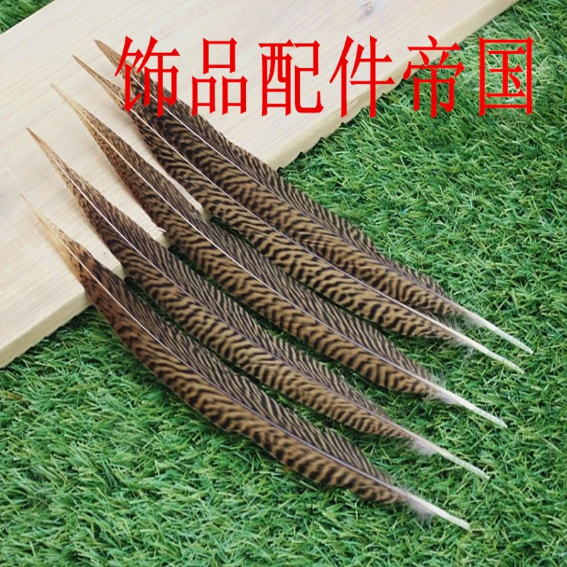 

Wholesale 100 pcs beautiful natural golden pheasant tail feathers 20-25 cm /8 to 10 inches