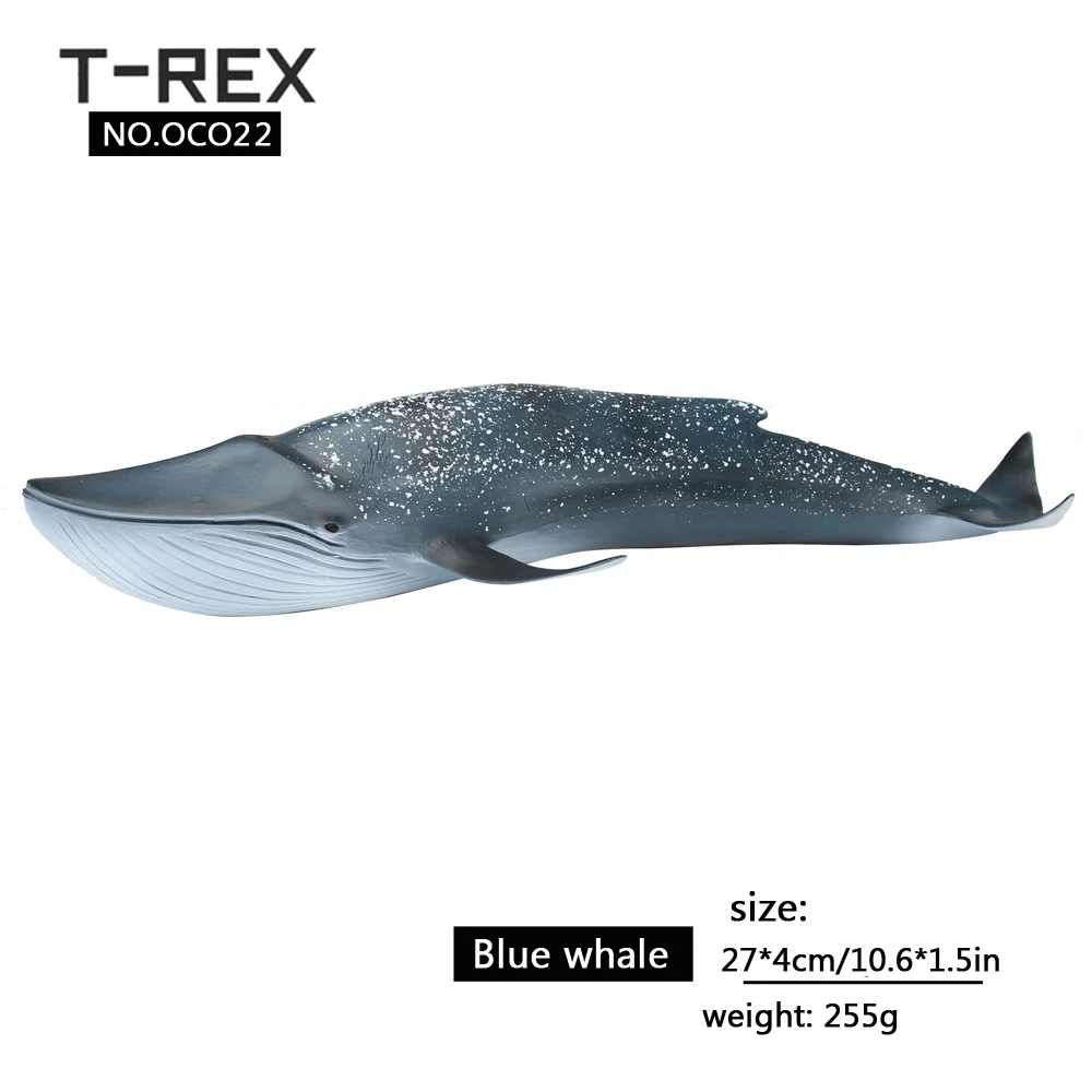 blue-whale