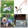 Nylon Dog Harness and Leash Set Adjustable Paw Print Dog Harness Walking Leash Strap for Small Medium Dogs S/M/L 2