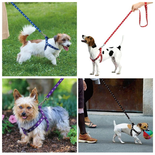 Nylon Dog Harness and Leash Set Adjustable Paw Print Dog Harness Walking Leash Strap for Small Medium Dogs S/M/L 2