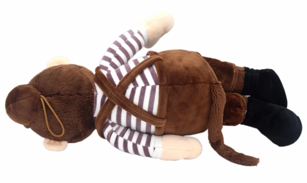 brown-monkey4