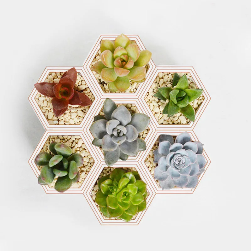 

1 Pcs With Cover Succulent Flower Pot Mold Pottery Ceramics Handmade Storage Box Model Silicone Molds DIY Coffin Shape